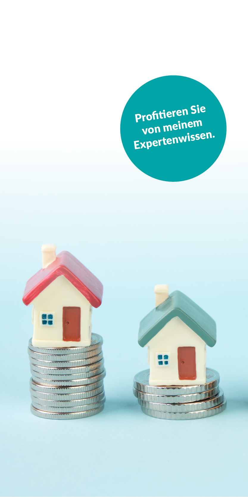 Expertenwissen